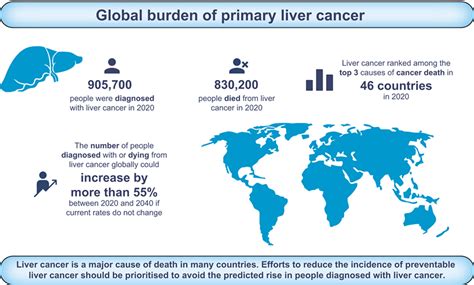 Global burden of primary liver cancer in 2020 and predictions to .